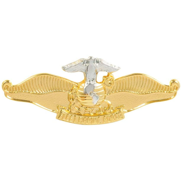 Navy Fleet Marine Force Chaplain Badge